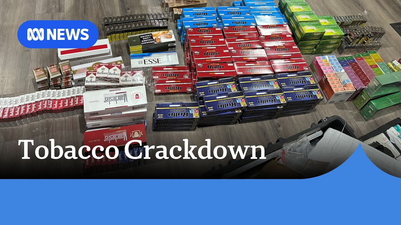New NSW tobacco retailer laws take effect in black market crackdown | ABC NEWS