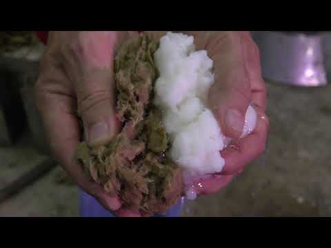 Imagen Cómo hacer papel