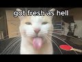 FRESH AS HELL ON A MONDAY