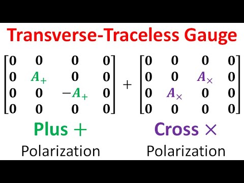 Relativity 109d: Gravitational Waves - Transverse-Traceless Gauge (Plus and Cross Polarizations)