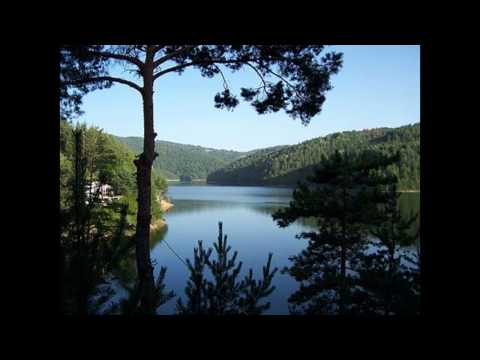 Nikola Cvetkovski - Berovsko oro