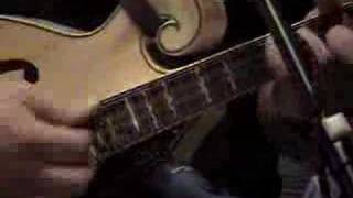 DandilyonWhine doing &quot;Bury Me Beneath the Willow&quot;