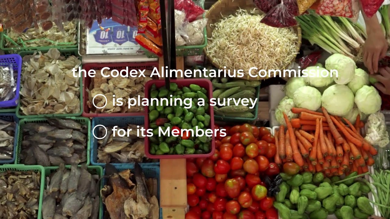Survey - use & impact of Codex texts