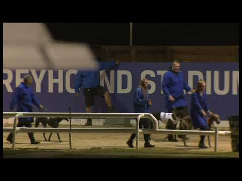 Badminton Donal - Coral Romford Puppy Cup - 3rd Semi Final