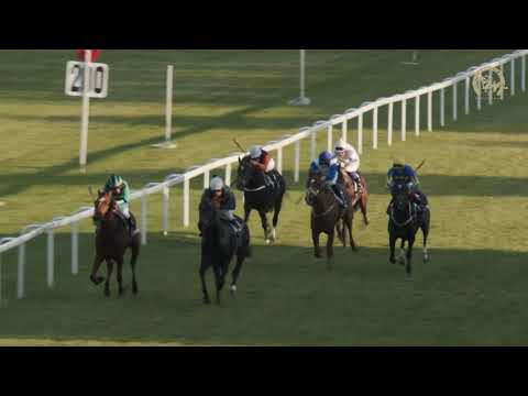 20211031_07_11. Veľká októbrová cena Plemenárskych služieb SR, š.p.