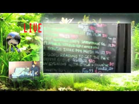 Festival Fishbowl 22nd Feb - James McCann