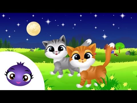download lagu mp3 mp4 Aaa Kotki Dwa, download lagu Aaa Kotki Dwa gratis, unduh video klip Aaa Kotki Dwa