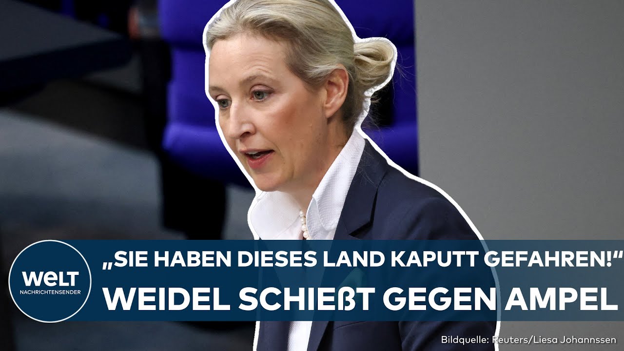 BUNDESTAG: "Sie haben alle noch nie im Leben gearbeitet!" Alice Weidel liefert sich Wortgefecht