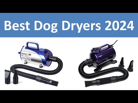 Top 10 Best Dog Dryers in 2023