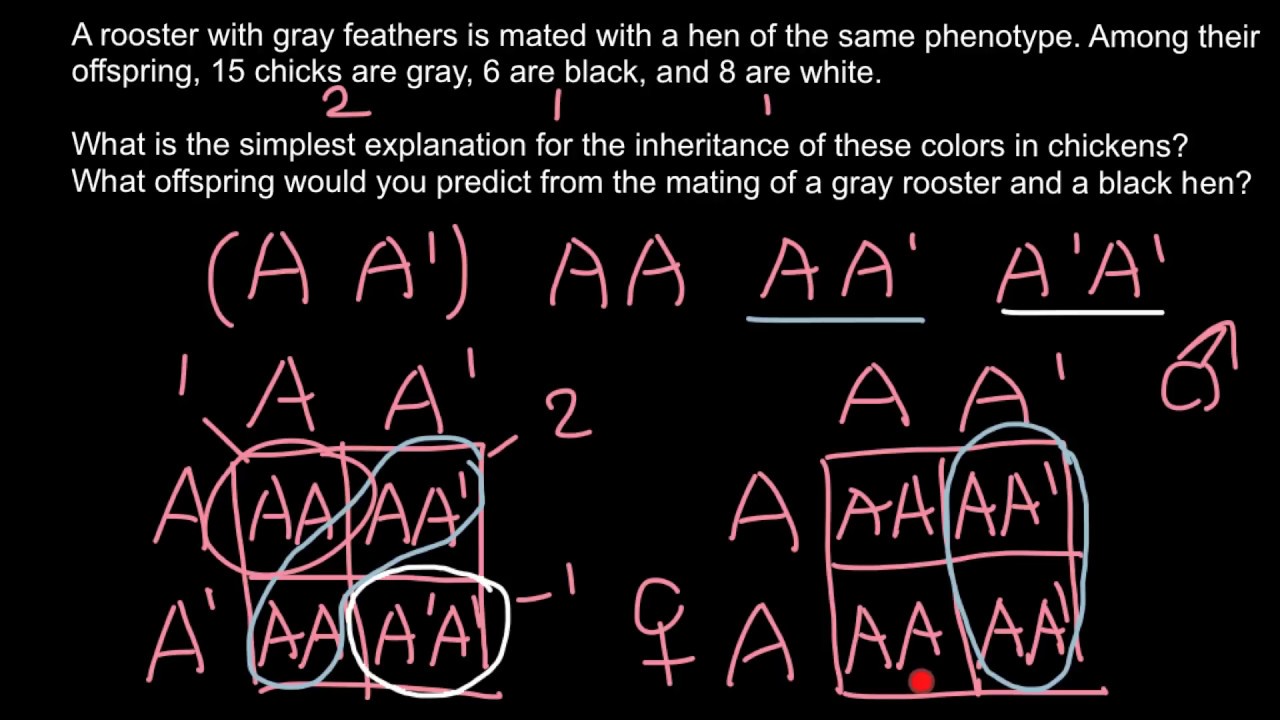 Simple genetics problem