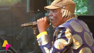 Alpha Blondy &amp; The Solar System - No Brain no Headache - LIVE at Afrikafestival Hertme 2018