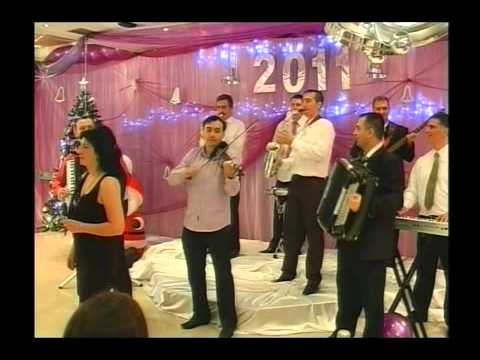 Rada Pankalujic   Co parja pujulj binje