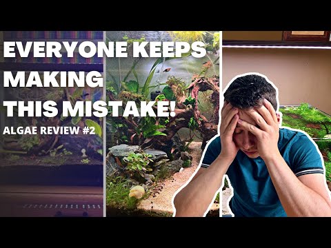 PLEASE STOP MAKING THIS MISTAKE! SUBSCRIBERS ALGAE REVIEW EP#2