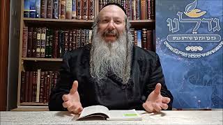 הרה"ג ר' שמעון שנייבלג שליט”א | מסר חינוכי אקטואלי לפרשת תזריע | עברית