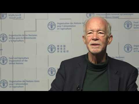 The United Nations University