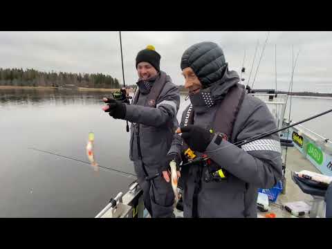Kalastusta ja kuulumisia - Avovesikauden päätös – Ahvenen jigaus ennen jäiden tuloa