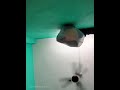 Kolkata Sonagachi Red Light Area Kolkata Sonagachi Live Room Video