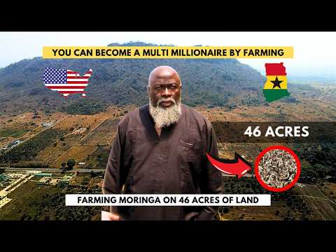 MOVED FROM THE USA TO GHANA, I NOW OWN OVER 46 ACRES OF FARMLAND IN GHANA