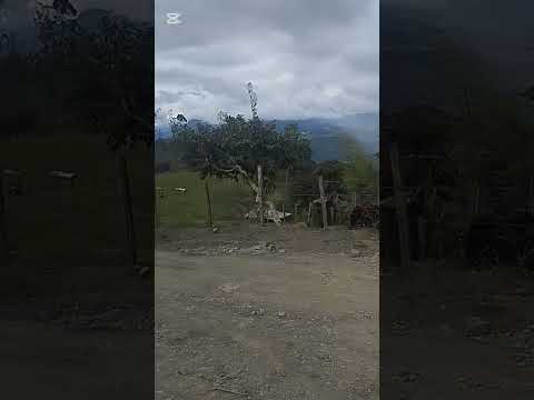 vereda San Lorenzo sector 6 fomeque cundinamarca