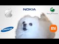 Doggo Bork But Famous Ringtones