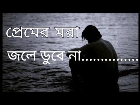 Premer Mora Jole Dobe Na |প্রেমের মরা জলে ডুবে না   [ Tere nam song video.. Edited ]