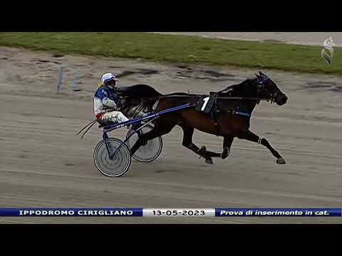Aversa trotto 13 Maggio 2023 - Prova di inserimento in categoria