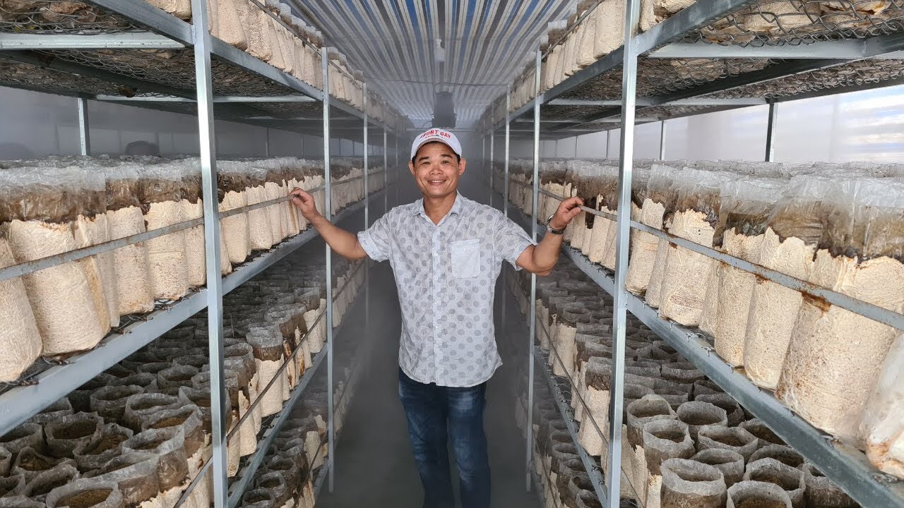 Dẫn Khách Về Trại Nấm Mối Đen Đồng Nai