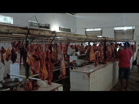 Feira de carne de Palmeirina PE 10/08/2026