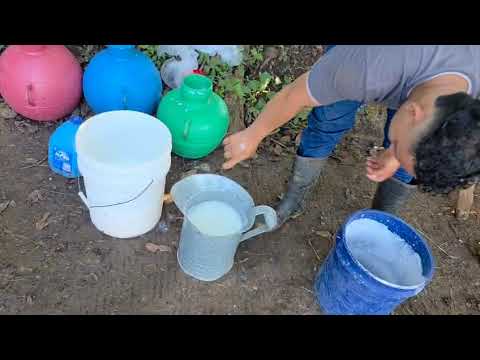 Disponible en Sonsonate santo domingo de Guzmán WhatsApp 60632341