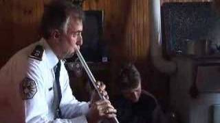 A Field of Blackbirds