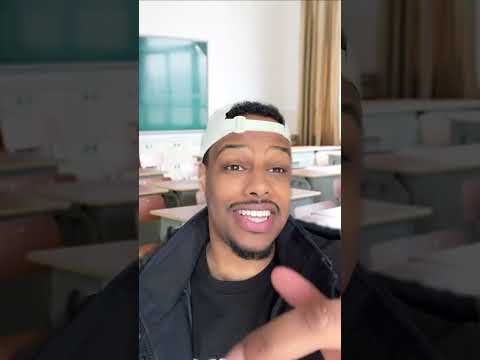 Homo Sapiens sind schlecht für Hamudis Bizz