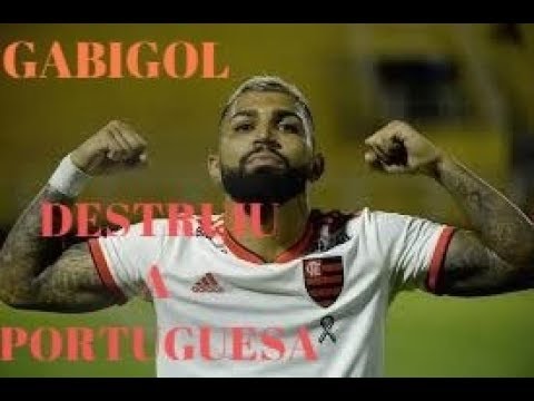 SHOW DE GABIGOL ! Flamengo 3 x 1 Portuguesa HD Melhores Momentos