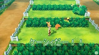 ポケモンレッツゴーイーブイをプレイ！ ＃９