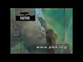 Nature Animal Attractions Amazing Tales From The San Diego Zoo Closing
