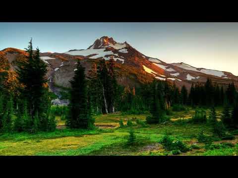 Peter Martijn Wijnia — Carpe Diem (Temple One Remix)