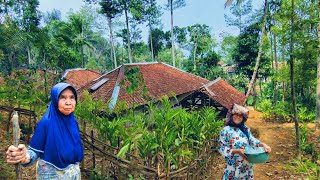 Download lagu MASHALLAH 😍 THIS IS IT! DREAM VILLAGE IN SOUTH GARUT., COOL & PEACEFUL || Rural West Java mp3 Download lagu MASHALLAH 😍 THIS IS IT! DREAM VILLAGE IN SOUTH GARUT., COOL & PEACEFUL || Rural West Java mp3