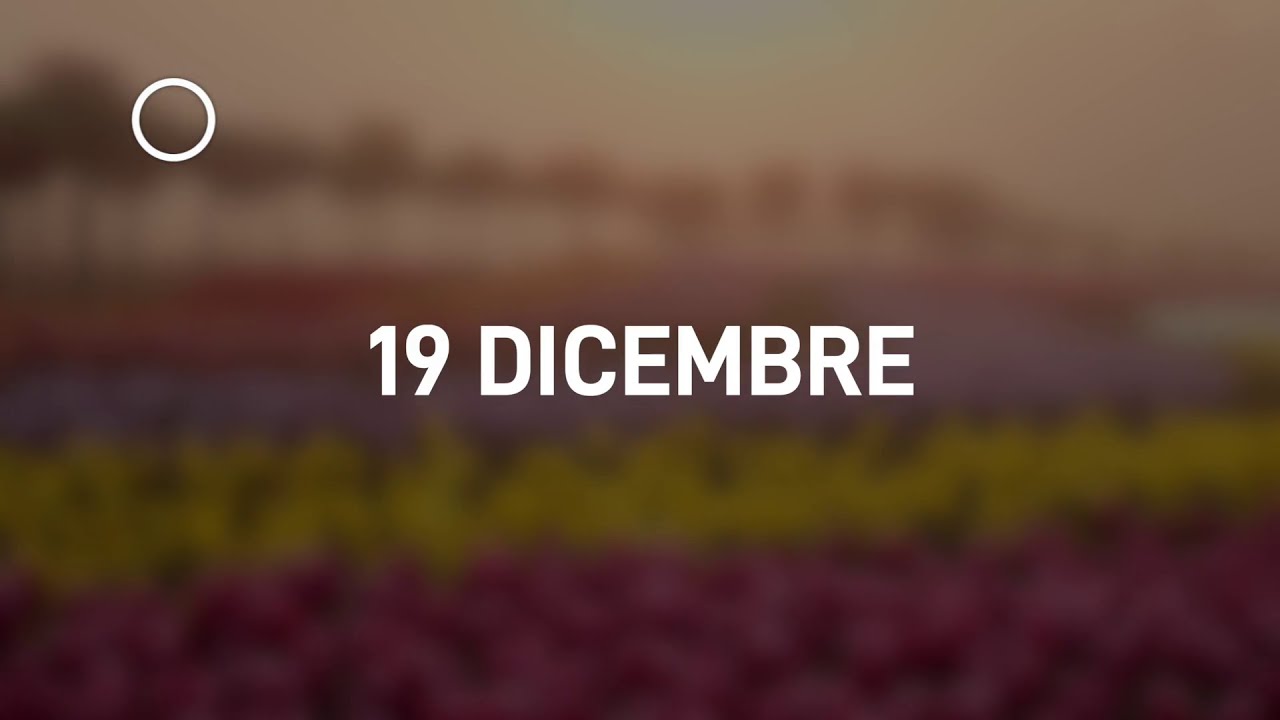 19 Dicembre 2024 | Meditazione Parole di Vita