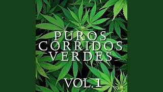 Tokezones De Cannabis