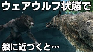 スカイリム初心者がまだ知らないかもしれない小ネタ7選 Part7