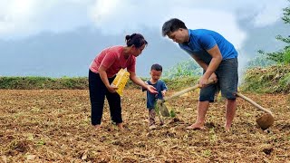 How to till the soil to start a new crop | Harvest palanquins to sell - Chúc Tòn Bình