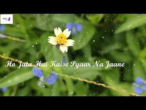 ❤Ho Jaata Hai Kaise Pyaar Na Jaane Koi 🙈 Whatsapp Status