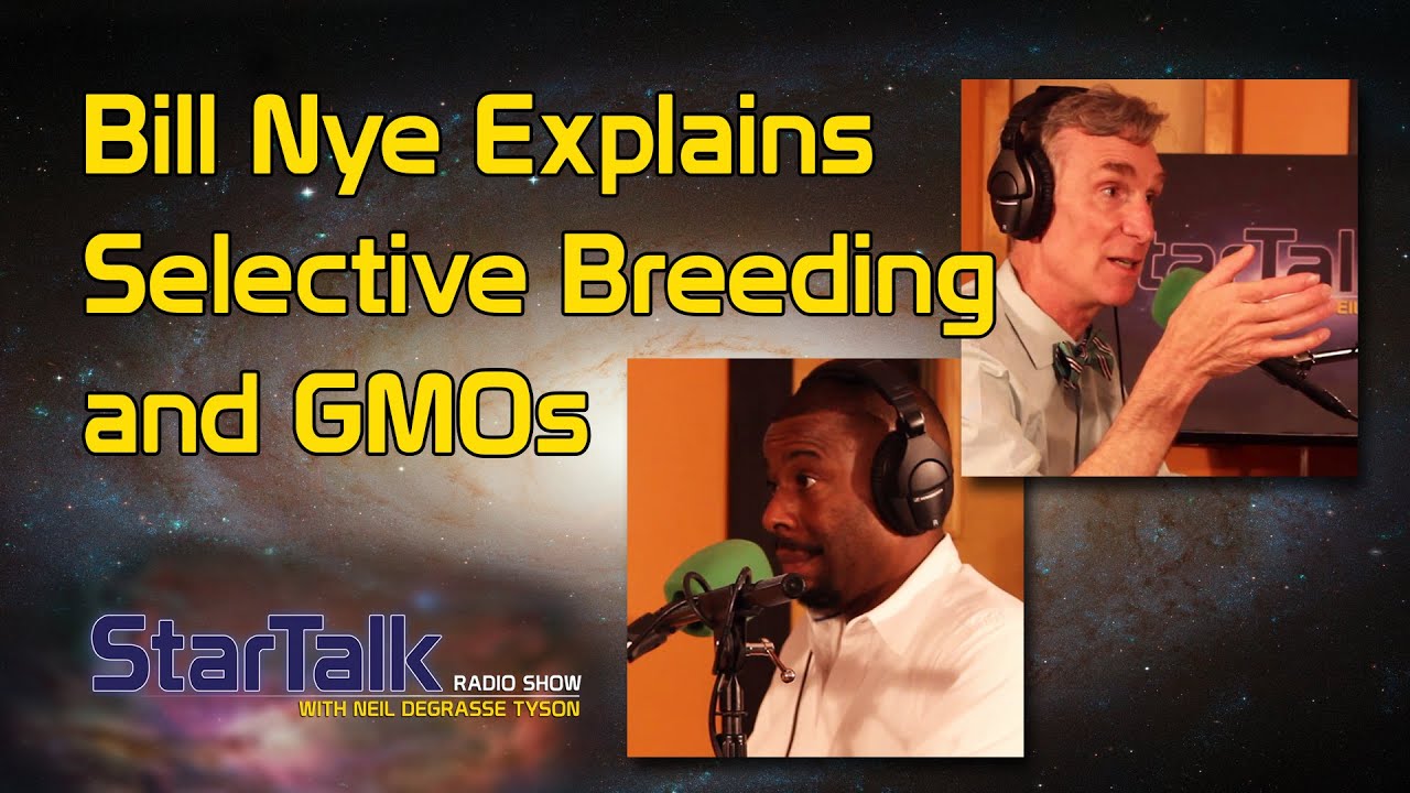 Is selective breeding genetic modification?