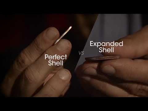 Perfect Shell Coin Set Half Dollar