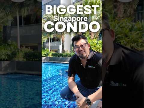 A 4 bed 3 bath Treasure in Tampines
