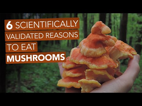 , title : '6 Scientifically Validated Reasons To Eat Mushrooms'