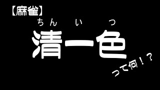 【麻雀超絶初心者】知識無しで清一色にたどり着く男【雀魂 -じゃんたま-】