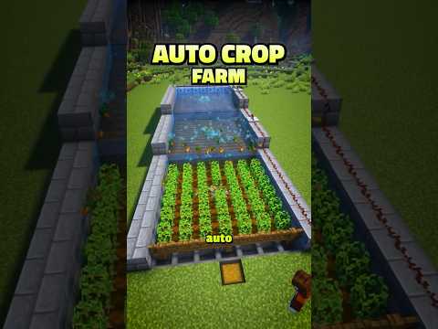 Minecraft Auto Crop Farm 🌾⚙️ | Easy Harvesting System in Minecraft! #minecraft