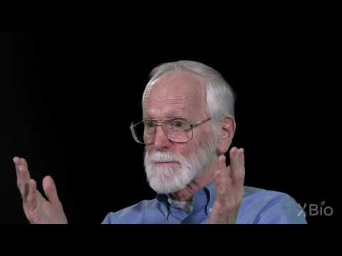 Genetic Origins of Cancer