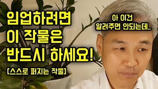 임업을 하려면 이 작물은 반드시 같이 하세요!