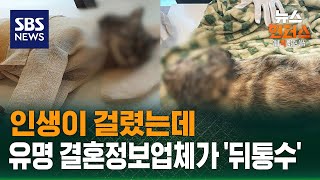 Download lagu [사건X파일] 인생이 걸렸는데…유명 결혼정보업체가 '뒤통수' / SBS / 뉴스헌터스 mp3
